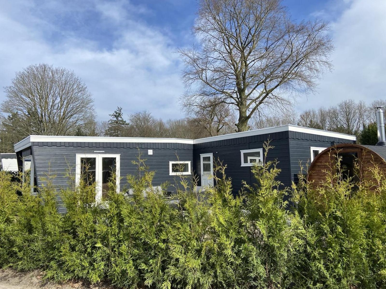 Veluwe Vakanties Chalets With Private Barrel Sauna - With Pool Bar And Restaurant Facilities In The Veluwe National Park Putten Ngoại thất bức ảnh